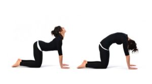 Beneficios de los estiramientos de yoga